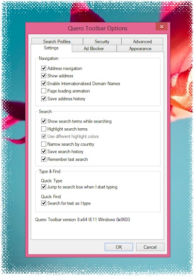 Quero Toolbar 8 Optionen-Dialog Windows 8